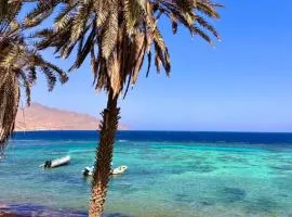 ايارو نوب-iaru nub