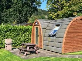 The Nest Pod