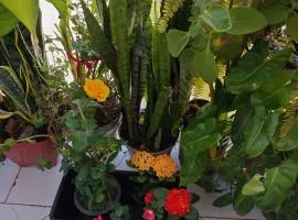 Casa com piscina e churrasqueira