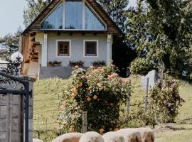 Ferienhaus am HerbstHof