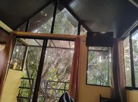 Villa Los Colibrí 11