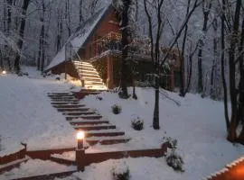 Silent woods Visoko