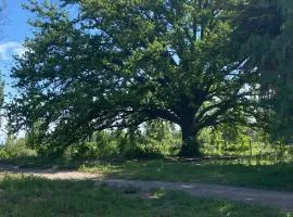 Finca Macalicia