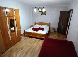 Apartament Nemira