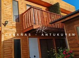 CABAÑAS ANTU KUYEN