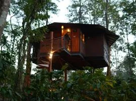Pugmarks Jungle Lodge