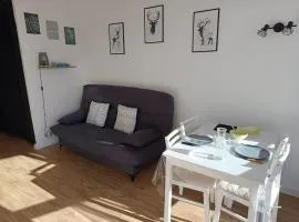 Cosy studio 25 m2 orienté sud entièrement rénové