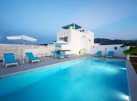 XENOS VILLA 7 with a private pool near the sea