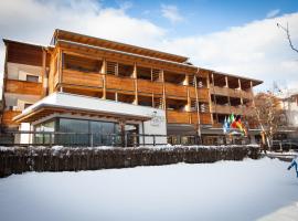 Olimpionico Hotel, ξενοδοχείο σε Castello di Fiemme
