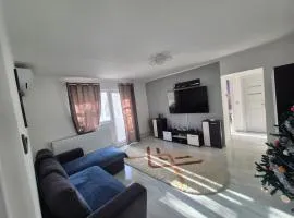 Apartament Rovine
