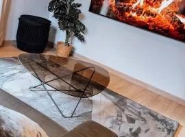 Appartement complètement rénové