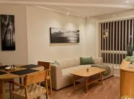 Nice apartment close to the city center