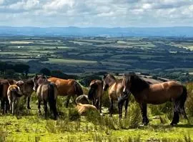Cosy Nook thatched cottage with Exmoor views