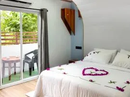 SWIMS Maldives