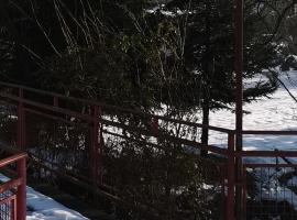 Dvosoban apartman LOLA, full oprema, nov, banja Vrujci, place to stay in Gornja Toplica