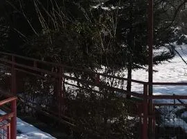 Dvosoban apartman LOLA, full oprema, nov, banja Vrujci