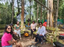 Ziro Festival Camping