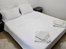 ULTRACENTRAL Apartment Cuza Voda