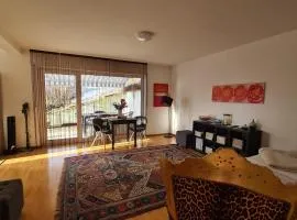 Wohlfühlwohnung Sonnenterrasse E Auto Ladestation