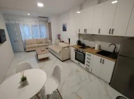 Central Apartment I