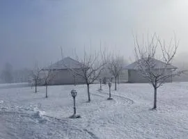 Apartmani Mladenovac