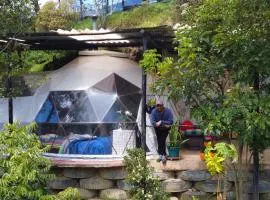 Glamping Bosque del Colibri