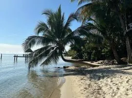 Palm & Pelican