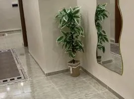 zeralda mehalma badi f05