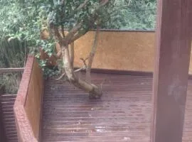 Casa na barra da lagoa