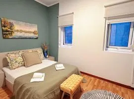 Downtown A whole house duplex designed for remote work and near metro lapa