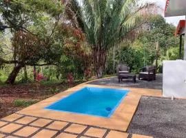 Villas Pura Vida - Mango