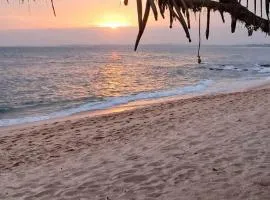 Coconut Tree hill Rekawa