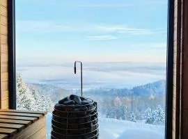 Górskie domki w Karkonoszach z widokiem