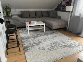 House in Village apartman Jelić, hotel in Topolovac