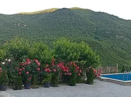 Green garden Կանաչ այգի