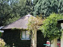 ilyn pottery cottage