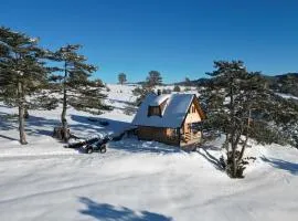 Cottage Vodice 2, Zlatibor
