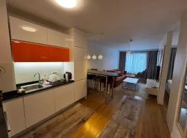 Riverwalk apartment 302 Ilidza