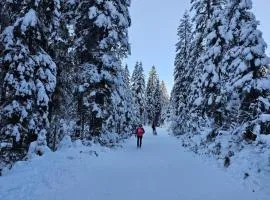 Panoramablick Exklusiv