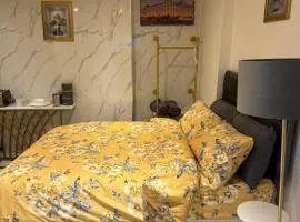 Luxury Studio in Victoria, 7 minutes walk to Victoria Station, Room 1