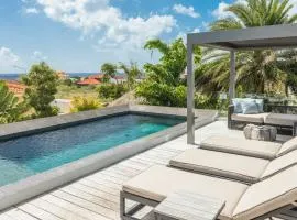 The Pearl of Jan Thiel villa with private pool gym and game room