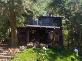 Cabaña privada en Los Naranjos