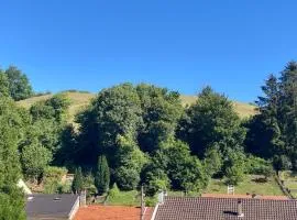 Du vert au cœur de la vallée de la fensch