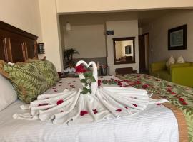 Hotel San Carlos Tequisquiapan, Hotel in Tequisquiapan