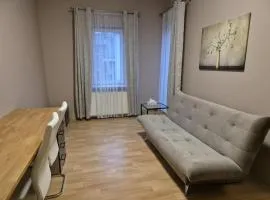 Przytulna kawalerka w Centrum Poznania