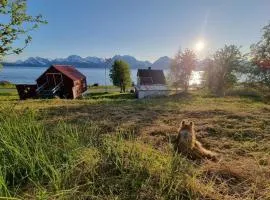 Basecamp Djupvik, Lyngen alps panorama