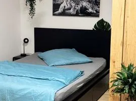 Zentrumnah inklusive Parkplatz Jungle-Suite by Rentigo - Ruheoase im Herzen von Saarbrücken!