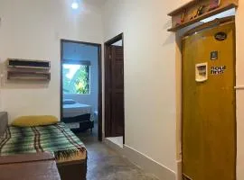 Kit araras pituba 2