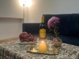 Retro style apt You rent a whole apartment in the center of Yerevan