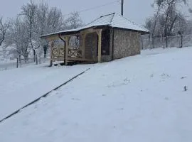 Seoski turizam Domaćinstvo Tošanić